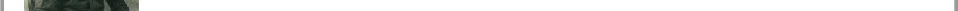 item1a1